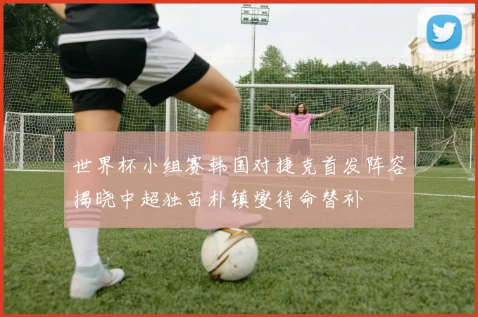 世界杯小组赛韩国对捷克首发阵容揭晓中超独苗朴镇燮待命替补