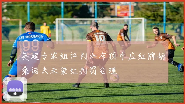 英超专家组评判加布顶牛应红牌胡桑诺夫未染红判罚合理