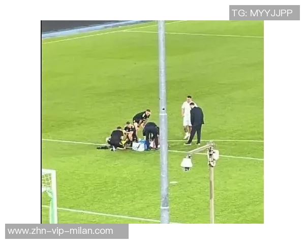 尤文图斯宣布布雷默成功完成左膝半月板手术将全力恢复备战 尤文图斯宣布布雷默成功完成左膝半月板手术将全力恢复备战